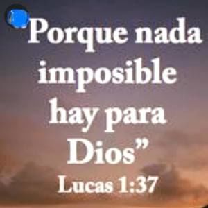 Meet your Posher, Lidia